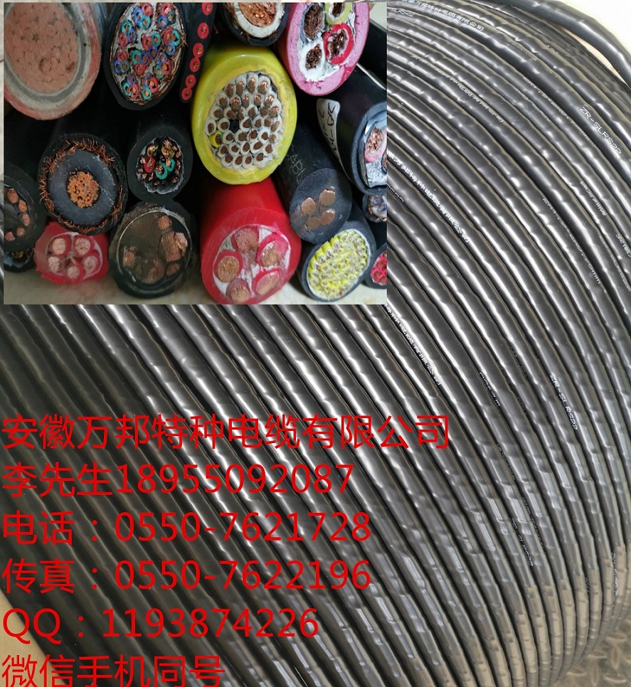 15924676959223.jpg WB1.jpg
