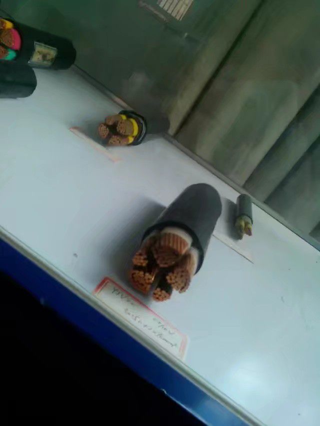 (UL5Y94A[0(7O`TRCMHOI[V.jpg