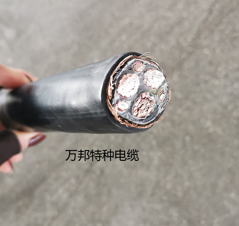 1645324940(1).png